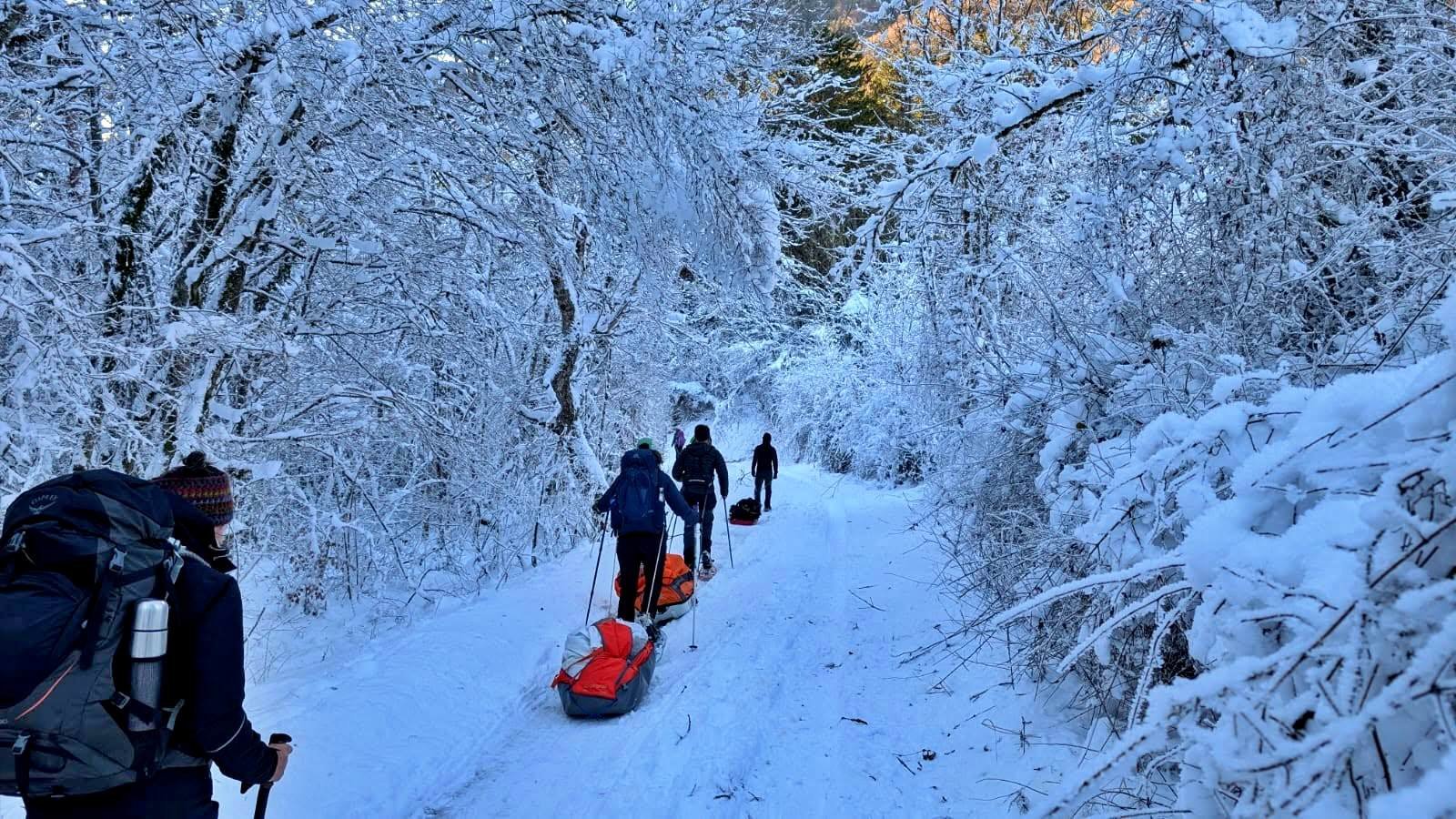 Transfert à travers la forêt enneigée vers le camp de base