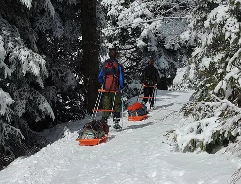 Retour à travers la forêt du Taillefer
