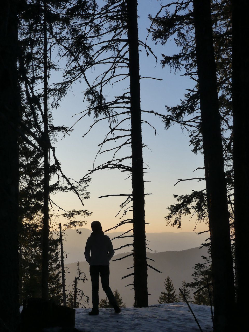 Silhouette en forêt au coucher du soleil